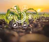6º Fórum do Agronegócio terá palestra magna com Giuliana Morrone