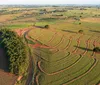 Ações da Itaipu na agricultura contribuem para 'produzir água'