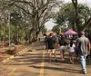 Calor de domingo anima londrinenses antes da virada no tempo
