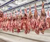 Exportações de carne bovina batem recorde em julho