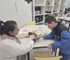 IA transforma rotina pedagógica de escola pública de Londrina
