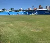 Londrina entende que gramado do VGD já teve melhora de 80%