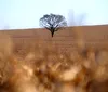 Norte do Paraná tem chuvas bem abaixo da média em julho e agosto