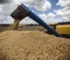 Safra de grãos 2024/25 é estimada em 345,2 milhões de toneladas