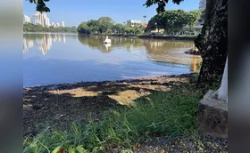 Após a chuva, nível do Lago Igapó sobe 50 centímetros