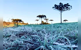 Após madrugada gelada, frio perde força ao longo da semana