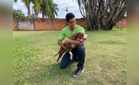 CMTU promove campanha de adoção de animais vítimas de maus-tratos