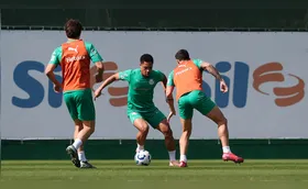 Cruzeiro e Palmeiras duelam por liderança no Mineirão