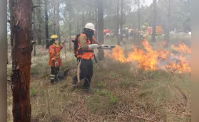 Inverno requer atenção redobrada de produtores para incêndios