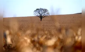 Norte do Paraná tem chuvas bem abaixo da média em julho e agosto