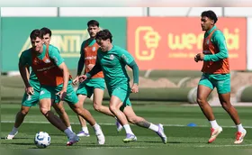Palmeiras retorna ao Brasileirão contra o Mirassol