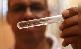 Paraná registra mais um óbito por dengue, em Andirá