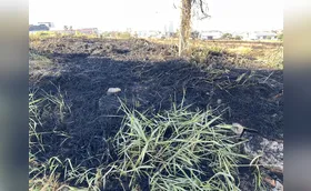 Queimadas na região de Londrina preocupam moradores