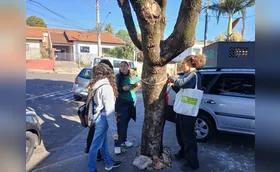 UTFPR mapeia árvores urbanas de Ibiporã