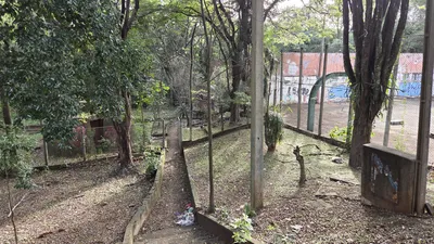 Imagem ilustrativa da imagem A cidade fala - espaço para fotos dos leitores