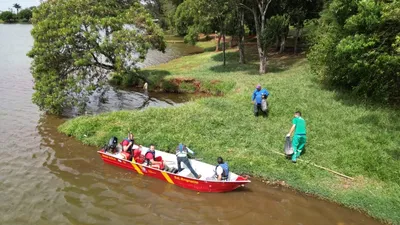 Imagem ilustrativa da imagem Apucarana realiza operação contra a dengue no lago Jaboti
