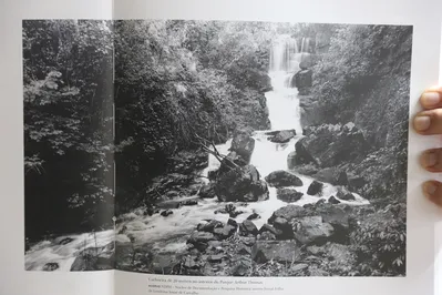 Imagem ilustrativa da imagem Arthur Thomas: o homem e o Parque Municipal