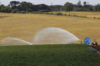 Imagem ilustrativa da imagem Banco do Agricultor já liberou R$ 1 bilhão para produtores rurais