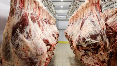 Slaughterhouse