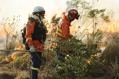 O Corpo de Bombeiros alerta que os balões podem colocar vidas humanas e de animais em risco, assim como o patrimônio de pessoas