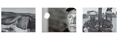 Montagem com fotos de Sebastião Salgado (esquerda e direita) e Theo Marques (ao meio)