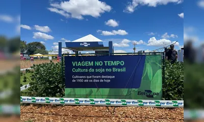 Imagem ilustrativa da imagem Embrapa Soja comemora 50 anos