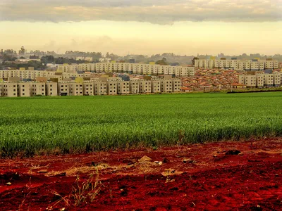 Image of the city of Londrina with sets of houses and popular apartments of my house my life next to farm with wheat plantation.