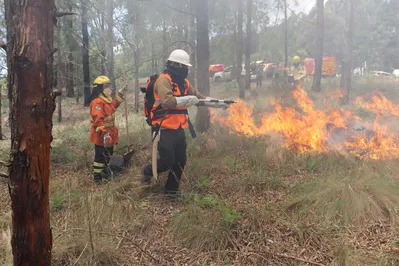 Imagem ilustrativa da imagem Inverno requer atenção redobrada de produtores para incêndios