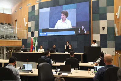 Imagem ilustrativa da imagem Lenir se licencia da Câmara e assume como deputada na terça