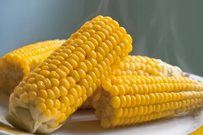 Imagem ilustrativa da imagem Londrina lidera produção de milho verde no Paraná