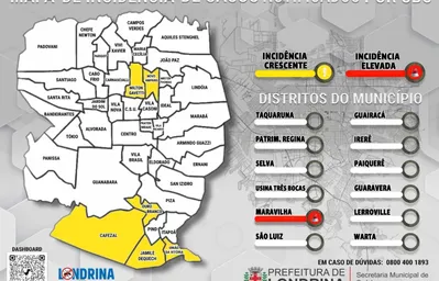 Imagem ilustrativa da imagem Londrina tem mais uma morte por dengue em 2025