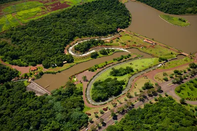 Imagem ilustrativa da imagem Monitoramento de peixes pela Itaipu confirma boa qualidade ambiental do reservatório