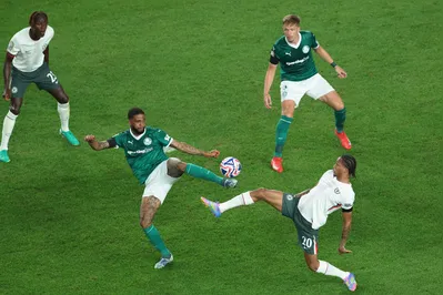 Imagem ilustrativa da imagem Palmeiras tem luta por título mundial mais uma vez interrompida