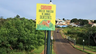 Imagem ilustrativa da imagem Prefeitura de Arapongas instala placas para a proteção de animas