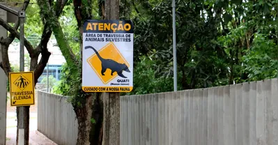 Imagem ilustrativa da imagem Sema alerta sobre atropelamentos de animais em volta do parque