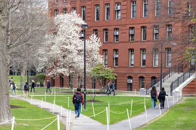 Imagem ilustrativa da imagem Trump diz que Harvard é uma piada e não deveria receber fundos federais
