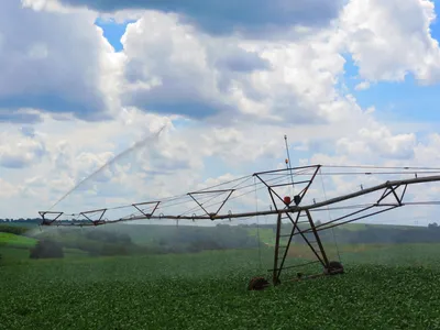 Imagem ilustrativa da imagem Um seguro agrícola chamado irrigação