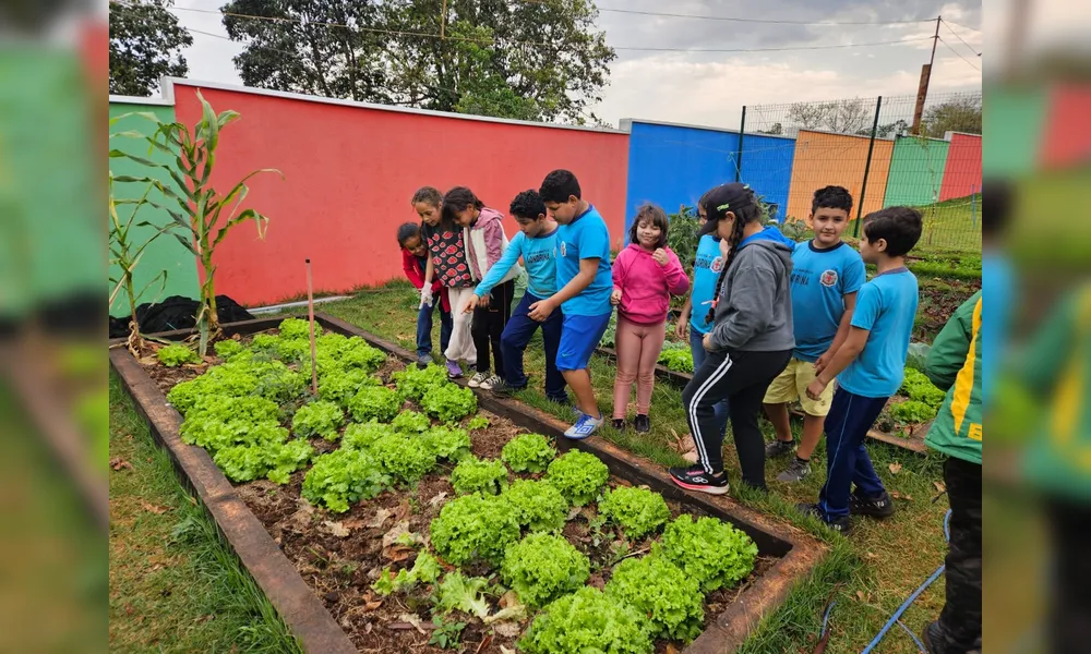 A Escola Municipal do Campo Trabalho e Saber, no Distrito de Lerroville, tem práticas ligadas à preservação do meio ambiente, como a manuteção de hortas agroecológicas
