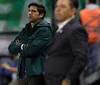 Abel alcança 5ª semifinal de Libertadores com o Palmeiras