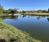 Alunos da zona norte realizam plantio de mudas no Cabrinha