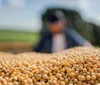 Belagrícola interrompe pagamentos a credores e acordos por grãos