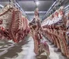 Exportação de carne bovina impulsiona frigoríficos do Paraná