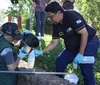IAT coleta amostras para verificar fim de despejo de esgoto em lagos