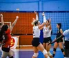 Londrina Vôlei recebe o Marechal em busca da 4ª vitória seguida