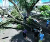 Londrina decreta situação de emergência em razão do temporal