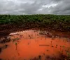 Nova linha de crédito tenta aliviar prejudicados pelo clima