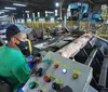 Paraná consolida vice-liderança no valor da produção florestal