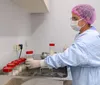 Paraná registra aumento na coleta de leite humano