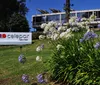 TCE suspende processo de privatização da Celepar