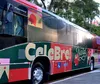 Transporte coletivo tem ônibus personalizados do LondriNatal 2025